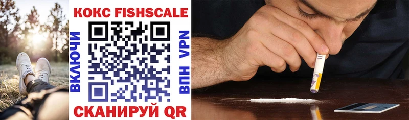 площадка наркотические препараты  Барабинск  COCAIN FishScale 
