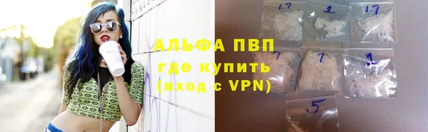 СК Яранск