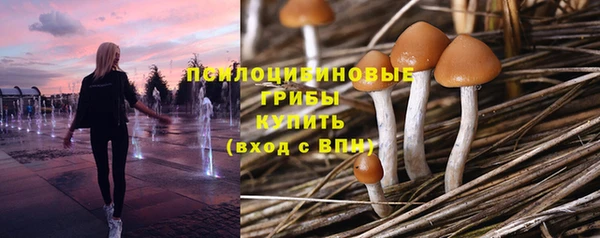 мескалин Янаул