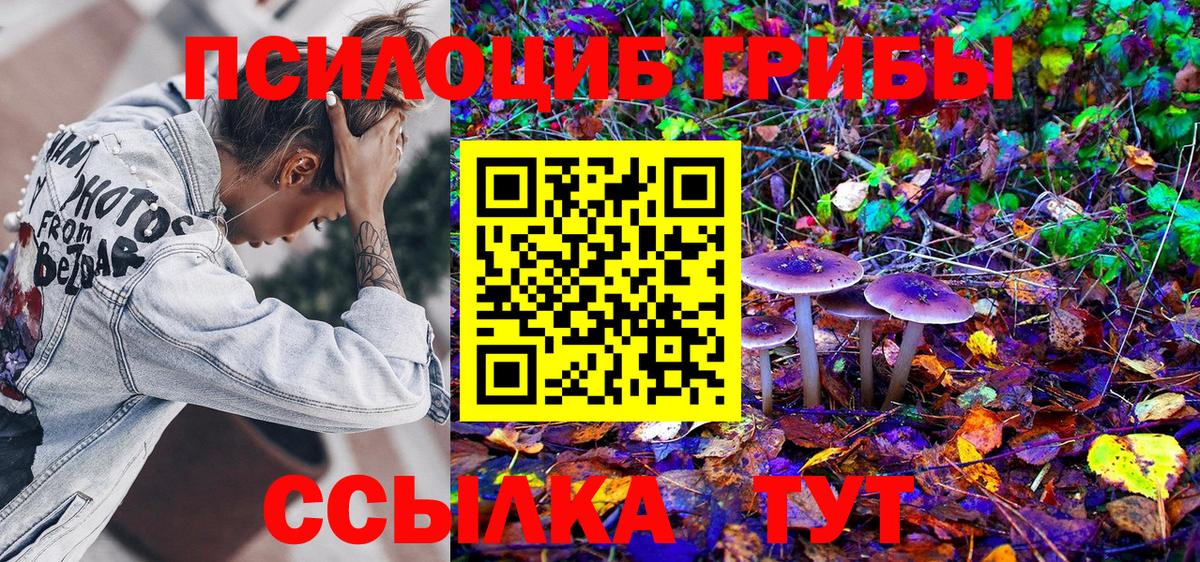 Псилоцибиновые грибы мухоморы  Псилоцибиновые грибы ЛСД  Барабинск  Вход с VPN 